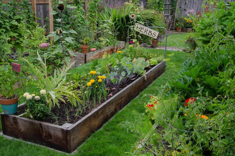 garden trees