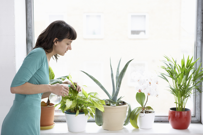 Garden outdoor space