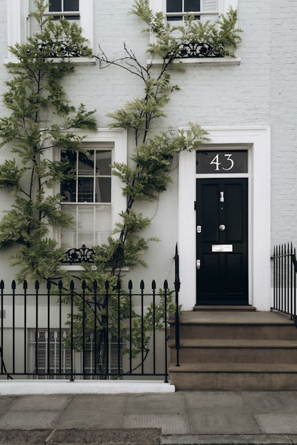 A white brick front garden of a residential property featuring a black front door with a silver door handle, mail slot, and house number '43' displayed above. To the left of the door, a window with white framing and multiple panes is partially obscured by a climbing plant with light green, needle-like leaves. The plant extends upwards, wrapping around small black decorative balcony railings above the window, and spreads across the wall, creating a natural vertical landscape. The garden area has a paved pathway leading to the steps of the entrance, with a black metal railing bordering the steps. The steps are made of concrete or stone, leading directly to the porch. The overall scene is illuminated with soft, natural daylight, highlighting the textures of the foliage, the smoothness of the painted brick wall, and the neatness of the outdoor space. This image exemplifies thoughtful garden and exterior maintenance, contributing to the curb appeal and aesthetic of the property, and aligns with services offered by Gardeners Richmond, specialists in garden maintenance and landscaping work.