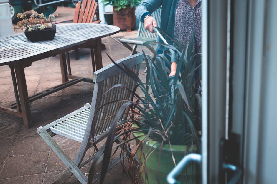 A person engaged in garden maintenance on a terrace garden, captured from inside through a partially open door. They are using a garden tool, possibly a rake or leaf blower, to tend to the lush, dark green potted plant with long, narrow leaves situated near the edge of the patio. The terrace features tiled flooring with a weathered wooden garden table and matching chairs, one of which is slightly tilted. On the table, there is a black ceramic pot filled with a succulent plant arrangement. In the background, some potted plants and garden furniture are visible, indicating a well-kept outdoor space. Overall, the scene reflects a tidy, ventilated garden area with trimmed plants, dry soil, and neatly arranged outdoor furniture, emphasizing lawn care and gardening work by Gardeners Richmond.